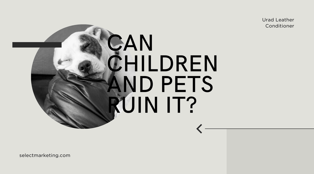 Protecting Your Leather Sofa: Can Children and Pets Ruin It?