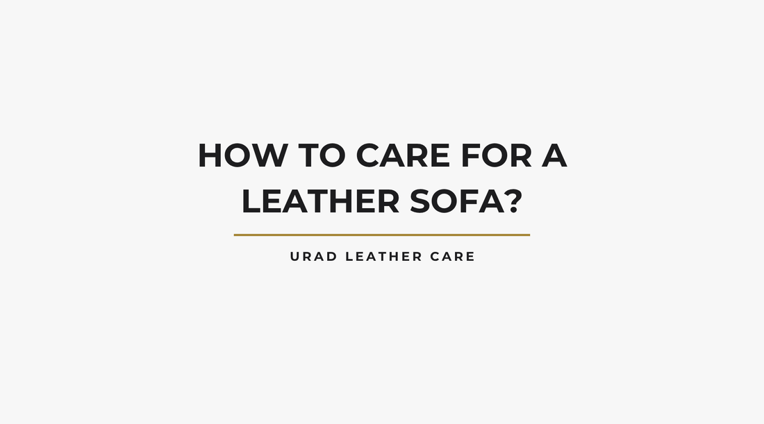 How to Care for a Leather Sofa?