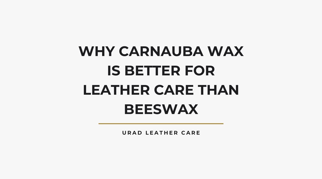 Why Carnauba Wax is Better for Leather Care than Beeswax