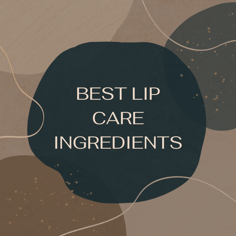 This image has text  saying "Best Lip Care Ingredients". This article dives deeply into the best lip balm ingredients to moisturize dry lips.